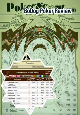 Bodog poker network
